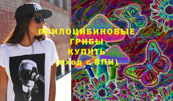 ПСИЛОЦИБИНОВЫЕ ГРИБЫ Алзамай