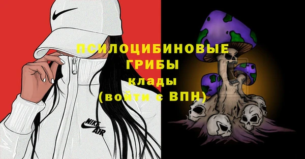 ПСИЛОЦИБИНОВЫЕ ГРИБЫ Алзамай